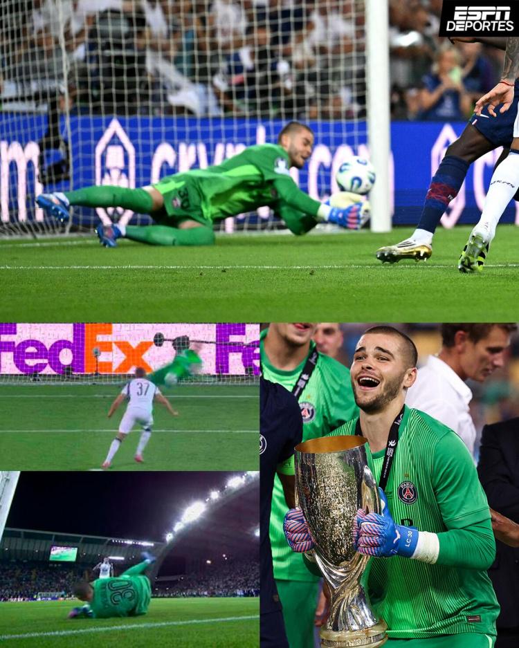 多纳鲁马事, net 多纳鲁马事, net